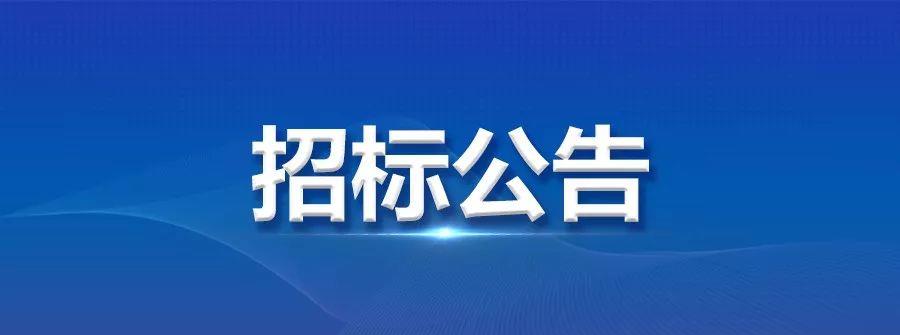 龍電華鑫集團自動線招標公告